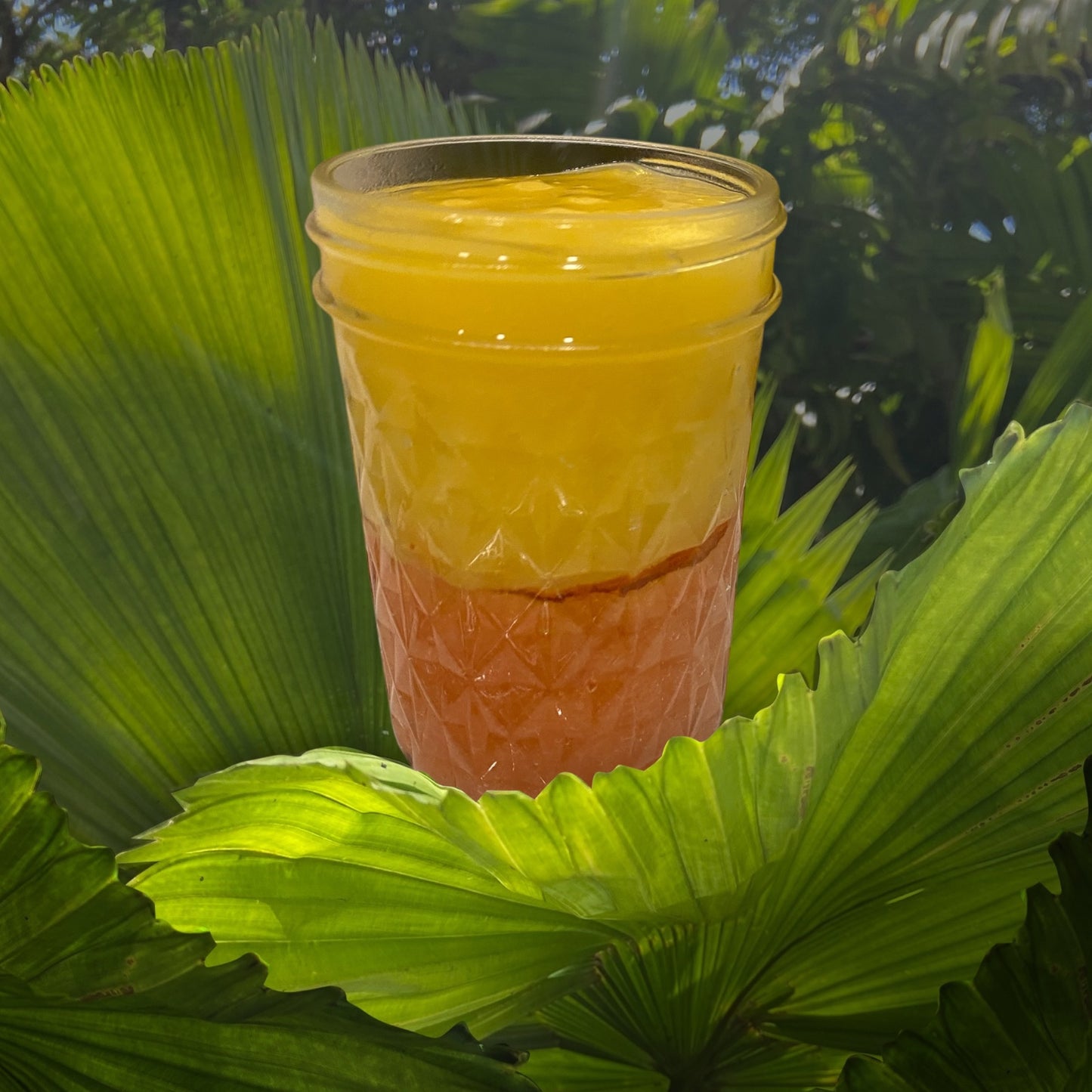 Mango/Strawberry Infused Seamoss