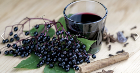 ELDERBERRY SYRUP