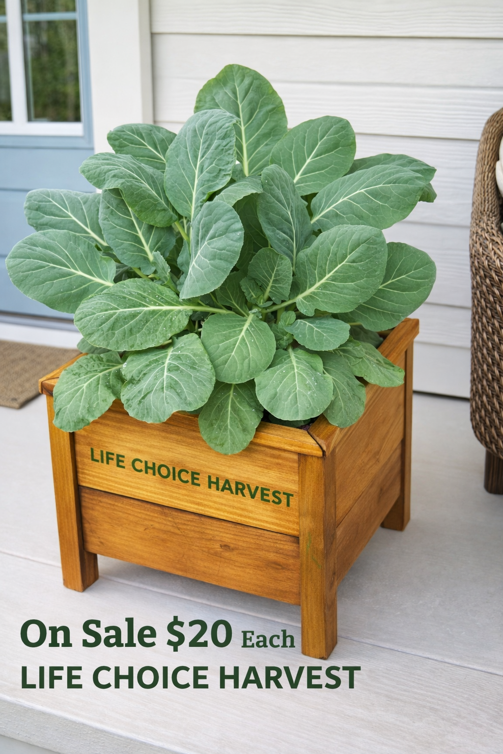 RAISE GARDEN BED