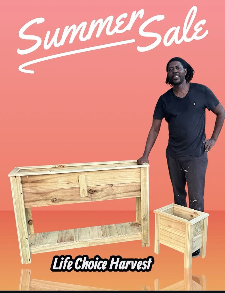 RAISE GARDEN BED