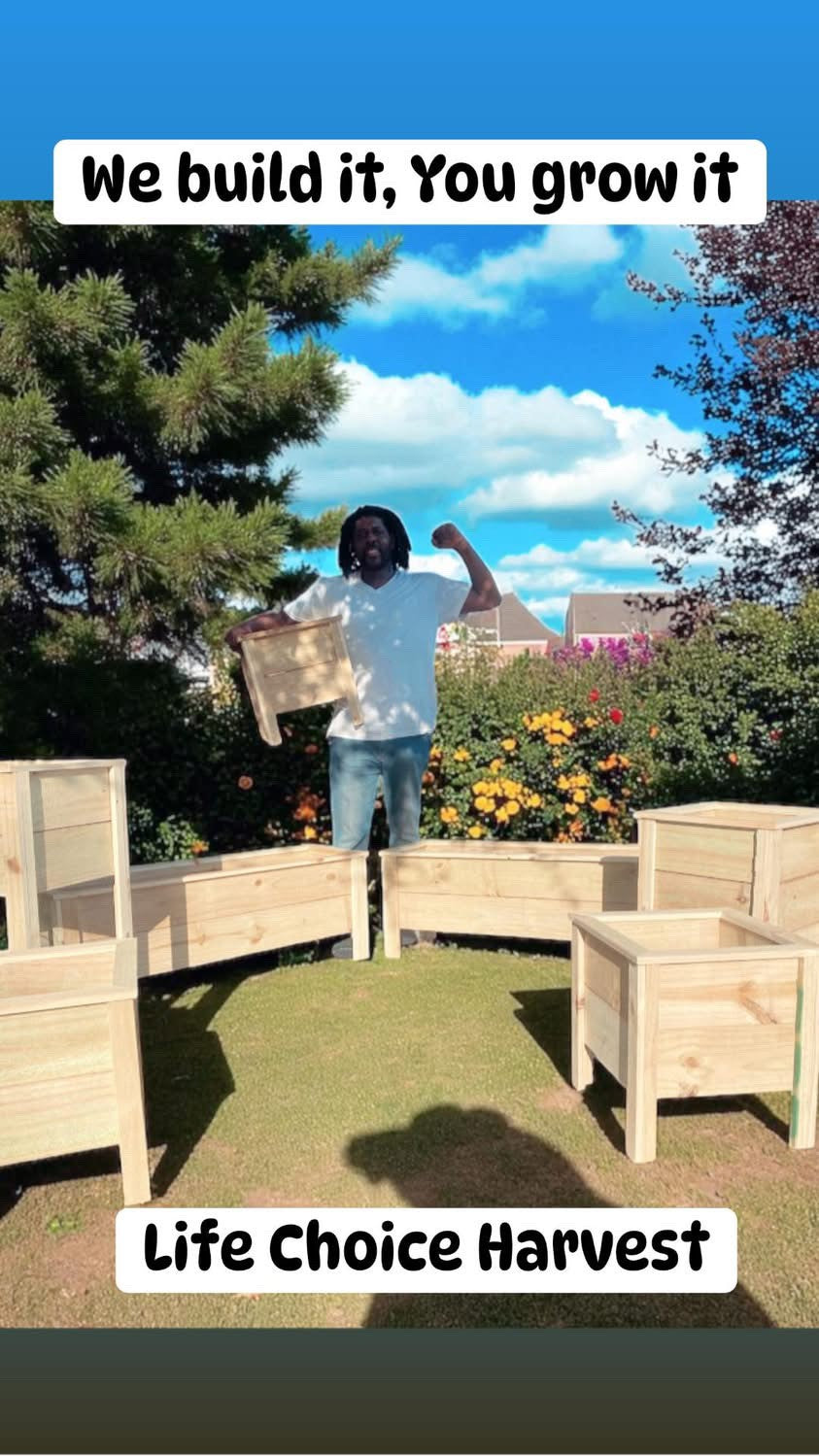 RAISE GARDEN BED