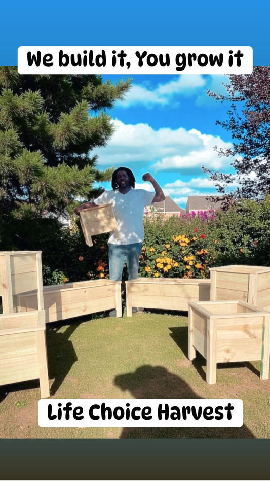 RAISE GARDEN BED