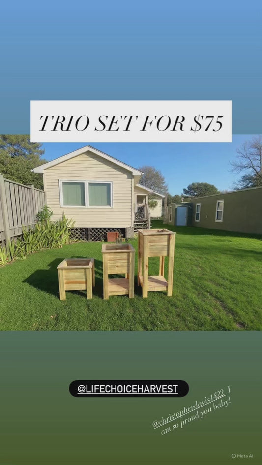 The Trio Set