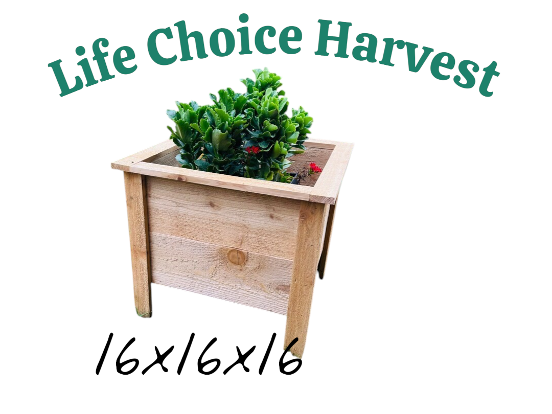 RAISE GARDEN BED